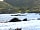 Wave Crest Caravan Park: Local sea life