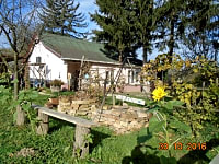 Tranquil Pine Cottage and the orchard garden Tranquil Pine Cottage and the orchard garden