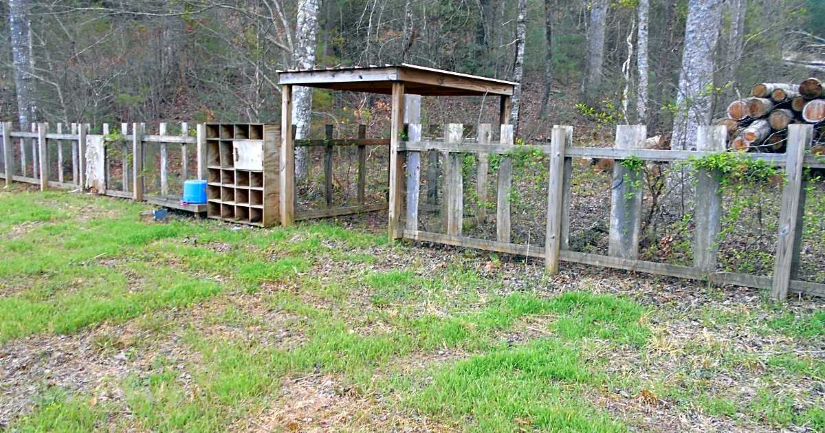 WagonMaster Ranch Resort, Murphy