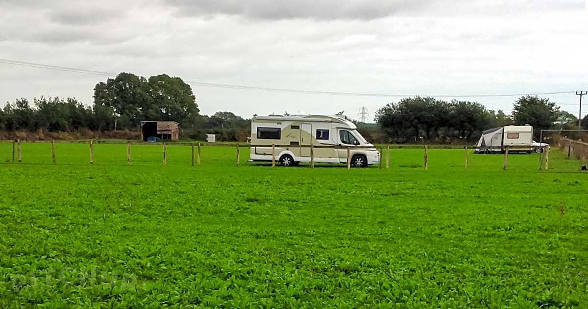 Snooks Farm Alpacas, Ferndown