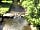 Dolwen Riverside Camping