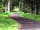 Border Forest Caravan Park: More views