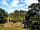 Minton Hill Pods: Woodland setting for the pods (photo added by manager on 10/07/2022)