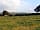 Barkhill Shepherd's Huts: View towards Bulbarrow Hill