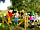 Warmwell Holiday Park: Adventure Play Area