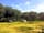 Little Winnick Touring Park: Grass pitch