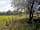Camping at The Hollies