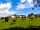 Castle Brake Holiday Park