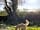 Browns Farm Caravan Park