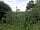Edgehill Country Park (фото добавлено менеджером 15.06.2017)