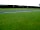 Stroxworthy Farm Campsite: Fully serviced pitches
