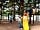Wild Duck Holiday Park: Adventure playground