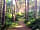 Holmans Woods