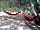 The Olive Garden: The XXL hammocks under one of the mimosa trees