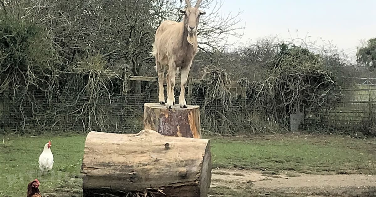 Barton Hill Farm, Barton Hartshorn Updated 2021 prices Pitchup®