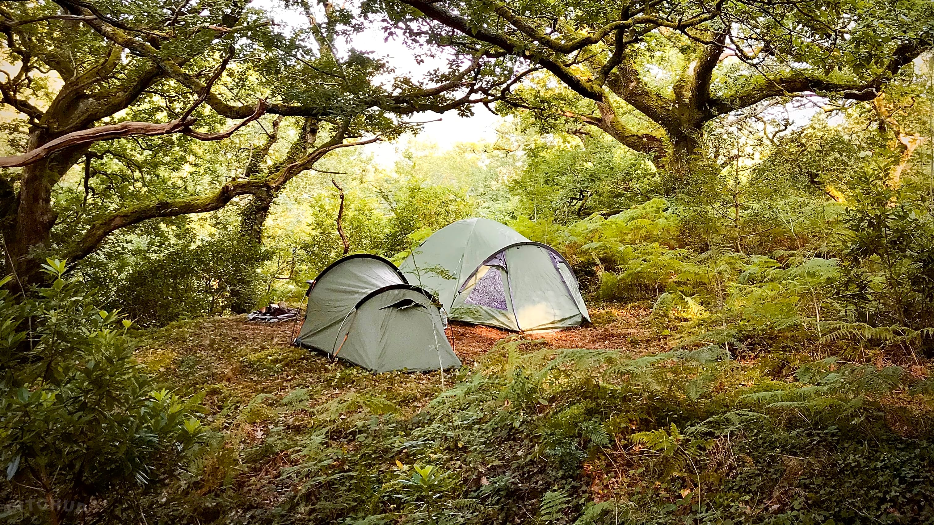 Coed y brenin camping hotsell