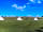 Dewflock Farm