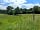 Debden Park: Views of the field