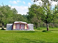 Spacious grass pitches Spacious grass pitches