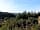 Court Farm Campsite: A view over the local area from the hill just up from Coombe