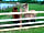 Poplar Grove Farm Caravan Park