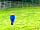 New Broom Camping and Caravan Site