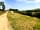 Torre View Farm: View from the entrance road