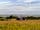 Strumble Camping: Views (photo added by manager on 23/08/2021)