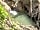 Ketch Caravan Park: 5 mins away (photo added by  on 17/04/2021)