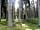 Border Forest Caravan Park: Edge of Border Forest