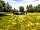 D'Oyleys Farm: Grass pitches