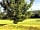 Myrtle Farm Holidays: Touring field