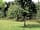 Lucy's Farm