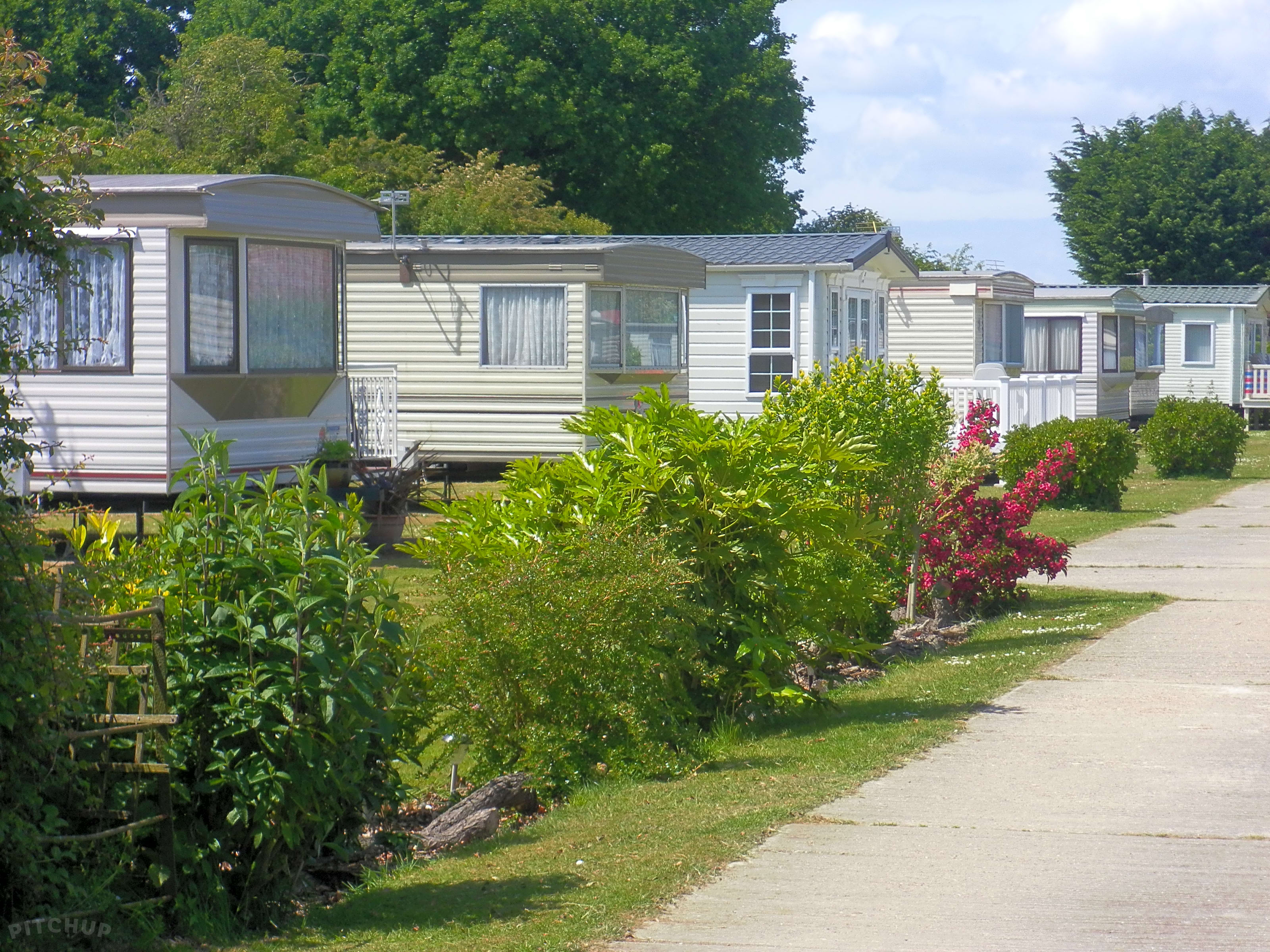 Bell Caravan Park, Chichester Pitchup®