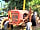 Silver Fox Café and Camping: Interesting old tractor