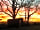 At The Cowshed: Gorgeous sunsets