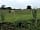 Highfield Farm Campsite: Grass pitches