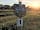 Kingsettle Camping Retreat: Sunset over the shepherd's hut