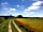 The Alders Caravan Park: The farm walk in summer