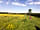 Wookey Farm: The pitching meadow before haymaking