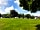 Haddon Grove Farm Campsite
