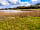Belvoir Waters