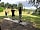 Walesby Forest