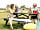 Beleef Lauwersoog: Picnic in Lauwersmeer National Park