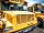 American School Bus Glamping: School bus