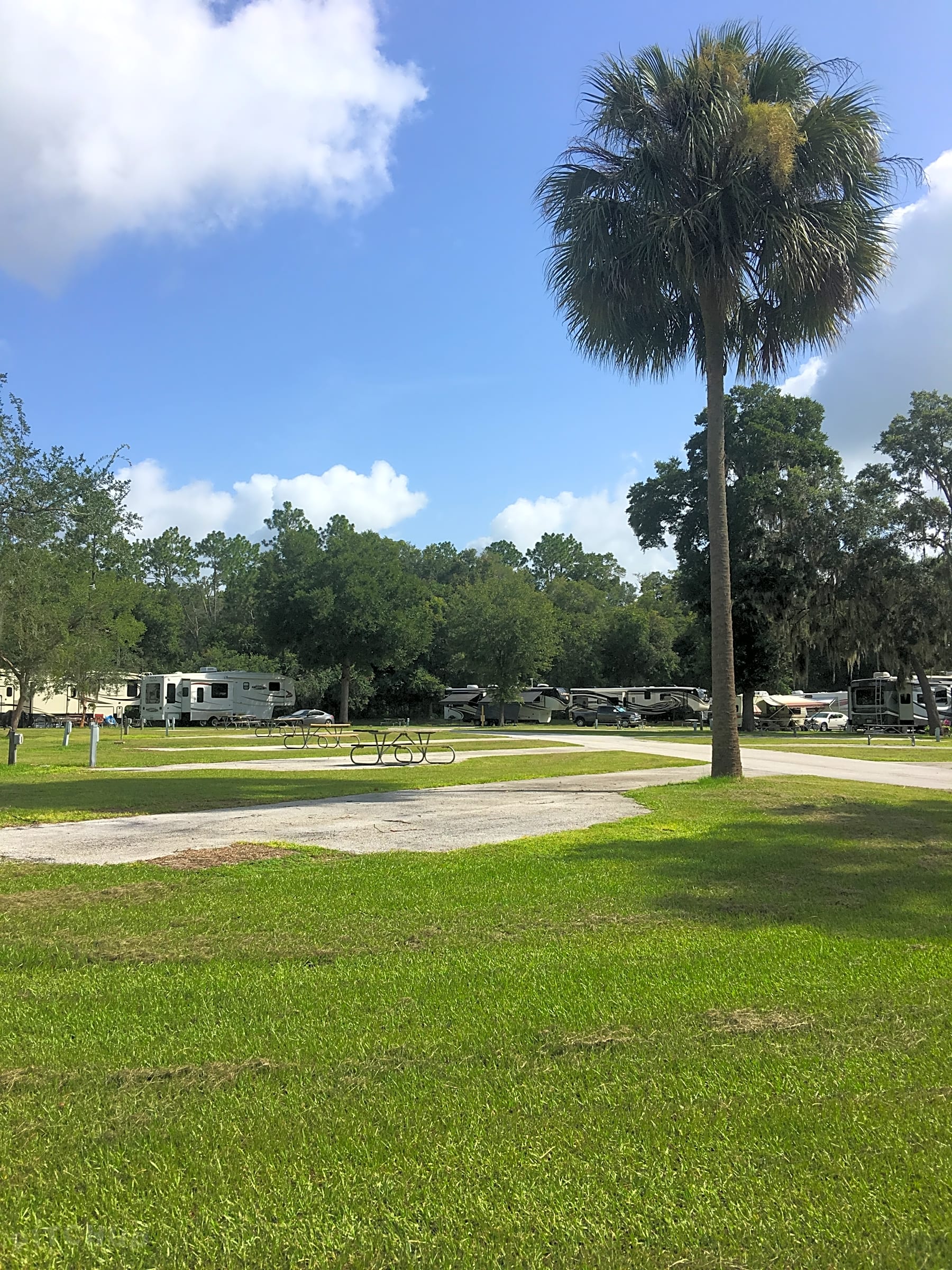 Wild Frontier RV Park, Ocala Pitchup®