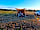 Purbeck View Campsite