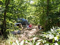 Peaceful pitches in the woods Peaceful pitches in the woods