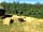 Oxford Oak Camping: get ready for summer barbecue
