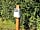 Ashton Drove Motorhome Park: Electric hook-up pitches